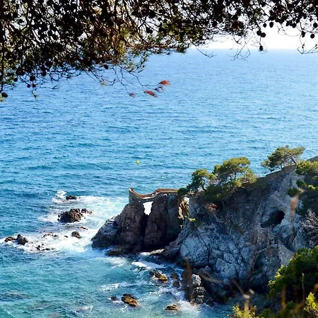 Moremar ホテル リョレート・デ・マル